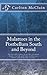 Mulattoes in the Postbellum South and Beyond: The Invisible Legacy of an Afro-European People, Custom, and Class in America's Binary and Three-Tier Societies