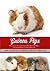 Guinea Pigs: How to care fo...
