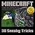 Minecraft: 30 Sneaky Minecraft Tricks