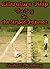 Literature Help: The Boy In...