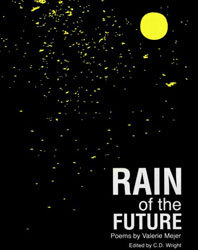 Rain of the Future (Paperback)