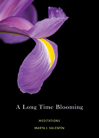 A Long Time Blooming: Meditations (Paperback)