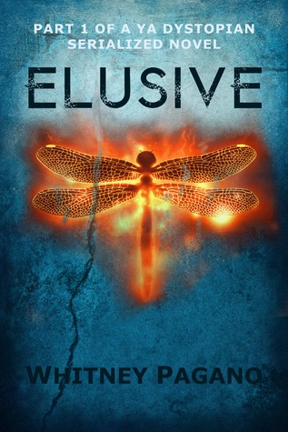 The Girl Who Remained Elusive (Elusive, #1)