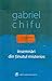Însemnări din ţinutul misterios by Gabriel Chifu