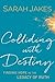 Colliding With Destiny: Finding Hope in the Legacy of Ruth