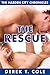 The Rescue (The Harden City Chronicles, #1)