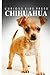 Chihuahua - Curious Kids Press: Kids book about animals and wildlife, Children's books 4-6