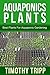 Aquaponics Plants: Best Pla...
