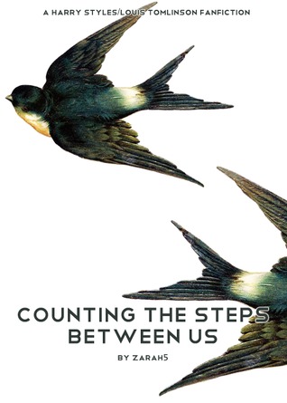 Counting the Steps Between Us (ebook)
