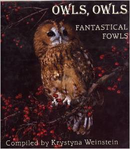 Owls, owls, fantastical fowls