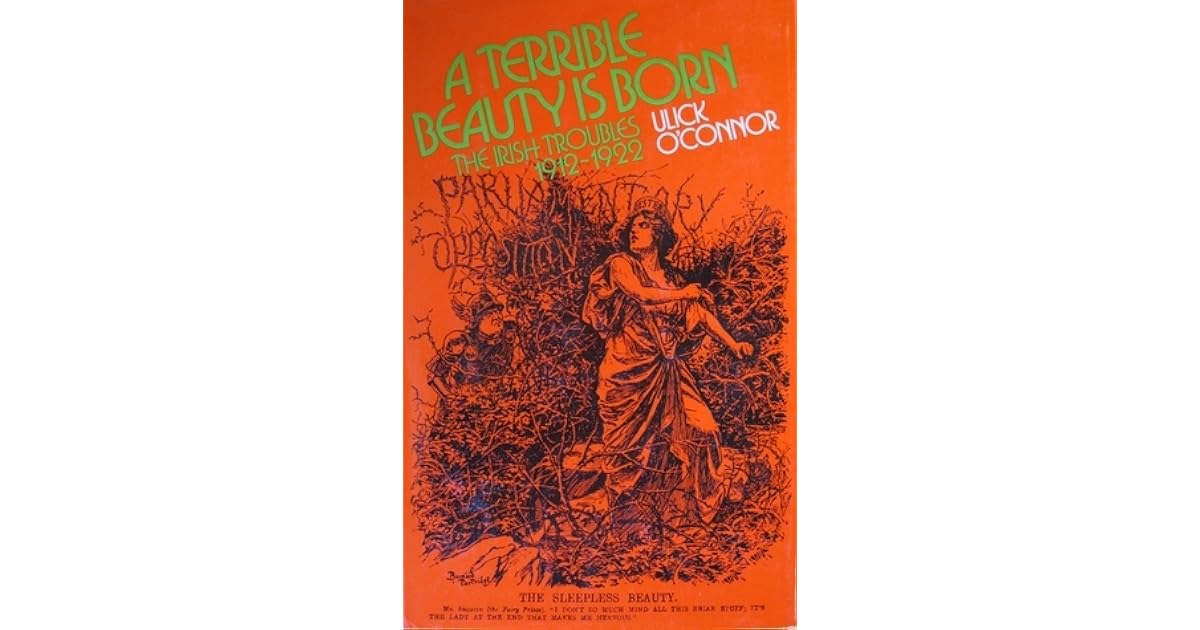 A Terrible Beauty Is Born The Irish Troubles, 1912 1922 by Ulick O'Connor