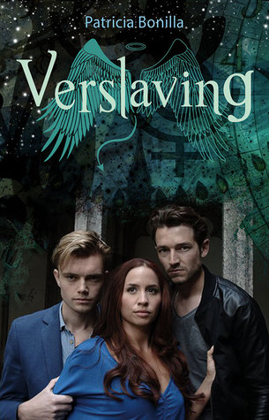 Verslaving (Paperback)