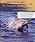 Dolphin Writer Iae Bk1 Sent Pa