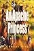 An Apache Princess: A Tale of the Indian Frontier