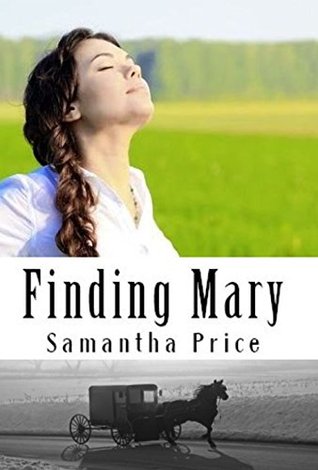 Finding Mary (Amish Twin Hearts #3)