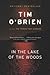In The Lake Of The Woods by Tim O'Brien