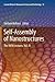 Self-Assembly of Nanostructures: The INFN Lectures, Vol. III (Lecture Notes in Nanoscale Science and Technology, 12)