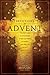 Devotions for Advent 10-Pack (Holy Bible: Mosaic)