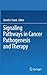 Signaling Pathways in Cance...