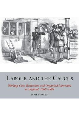 Labour and the Caucus: Working-Class Radicalism and Organised Liberalism in England, 1868–1888 (Studies in Labour History, 3)