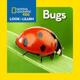 Bugs (Board Book)