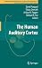 Springer Handbook of Audito...