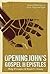 Opening John's Gospel and Epistles