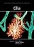 Glia (Subject Collection from Cold Spring Harbor Perspectives in Biology)
