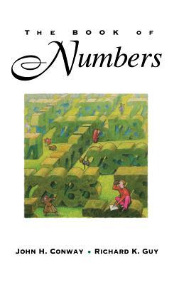 The Book of Numbers (Hardcover)