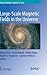 Large-scale Magnetic Fields...