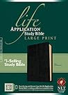 NLT Life Applicat...