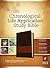 Chronological Life Application Study Bible NLT, TuTone