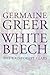 White Beech: The Rainforest Years