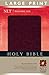 Holy Bible: New Living Translation