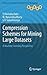 Compression Schemes for Mining Large Datasets: A Machine Learning Perspective (Advances in Computer Vision and Pattern Recognition)