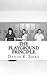 The Playground Principle by David R. Smat