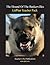Hound of the Baskervilles LitPlan - A Novel Unit Teacher Guide With Daily Lesson Plans (Paperback)