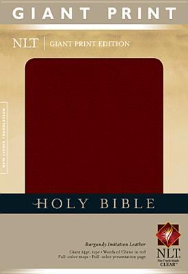 Holy Bible NLT