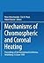 Mechanisms of Chromospheric...