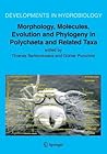 Morphology, Molecules, Evolution and Phylogeny in Polychaeta and Related Taxa (Developments in Hydrobiology, 179)