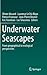 Underwater Seascapes: From geographical to ecological perspectives