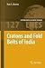 Cratons and Fold Belts of India (Lecture Notes in Earth Sciences, 127)