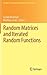 Random Matrices and Iterated Random Functions: Münster, October 2011 (Springer Proceedings in Mathematics & Statistics, 53)
