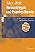 Molekülphysik und Quantenchemie by Hermann Haken