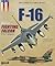 The F-16: Volume 2 - Fighti...