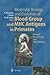 Molecular Biology and Evolution of Blood Group and MHC Antigens in Primates