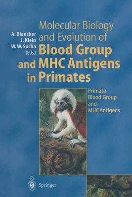 Molecular Biology and Evolution of Blood Group and MHC Antigens in Primates