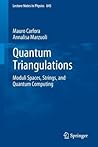 Quantum Triangulations: Moduli Spaces, Strings, and Quantum Computing (Lecture Notes in Physics)