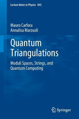 Quantum Triangulations: Moduli Spaces, Strings, and Quantum Computing (Lecture Notes in Physics)