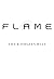 Flame: The Skychasers Trilogy 3